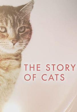 猫科动物的故事海报