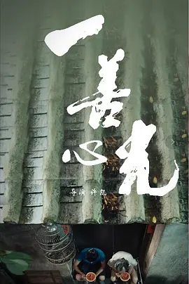 一善心光 (2018)海报