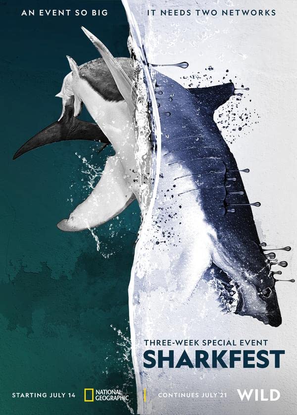 人鲨大战海报
