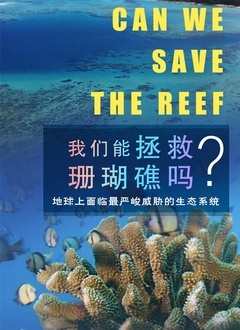 我们能拯救珊瑚礁吗海报