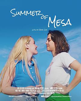 梅萨的夏天海报