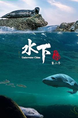 水下中国 第二季海报