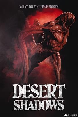 沙漠阴影海报