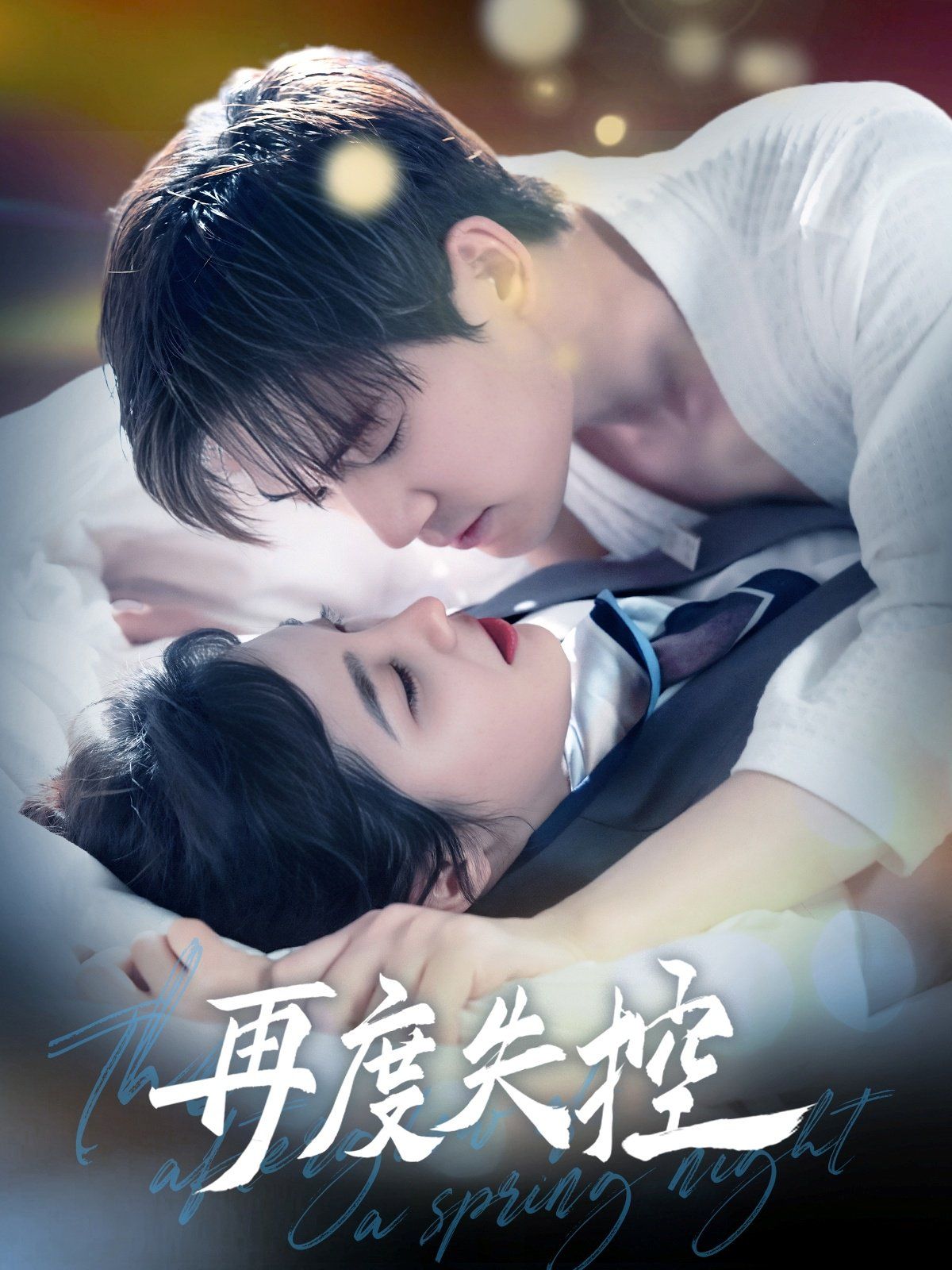 与君共舞海报