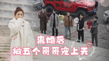 离婚后被五个哥哥宠上天海报
