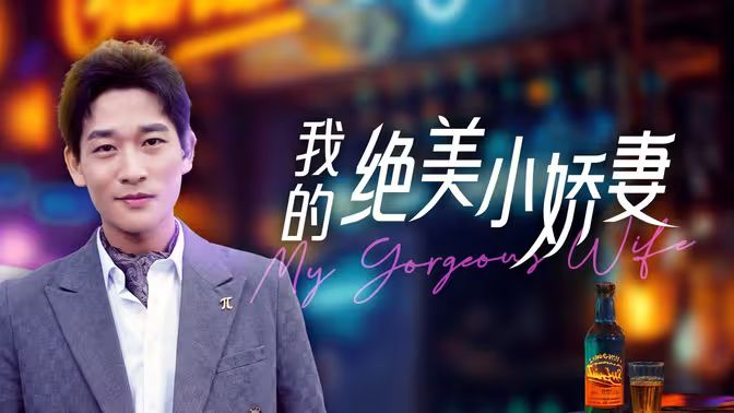 我的绝美小娇妻海报