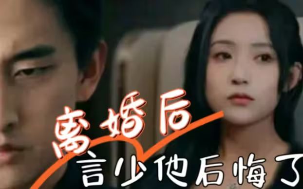 离婚后，言少他后悔了海报