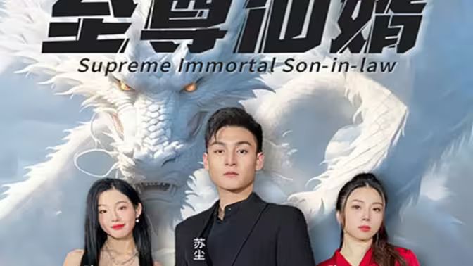 至尊仙婿海报