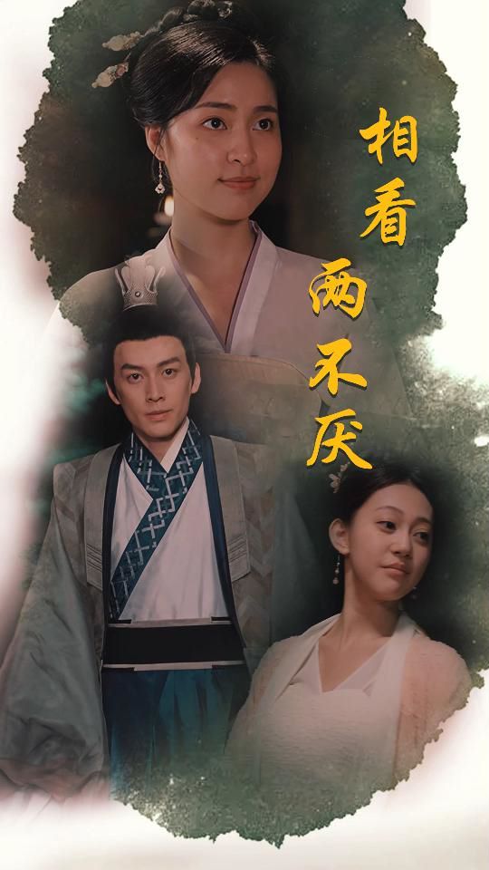 相看两不厌(这个王妃不好惹)海报