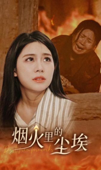 烟火里的尘埃海报