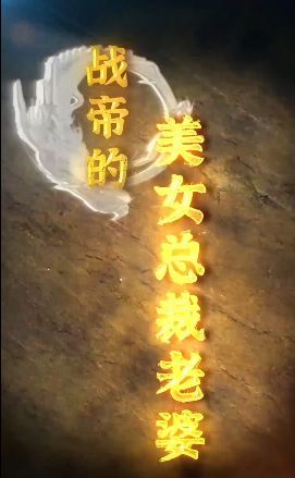 战帝的美女总裁老婆海报