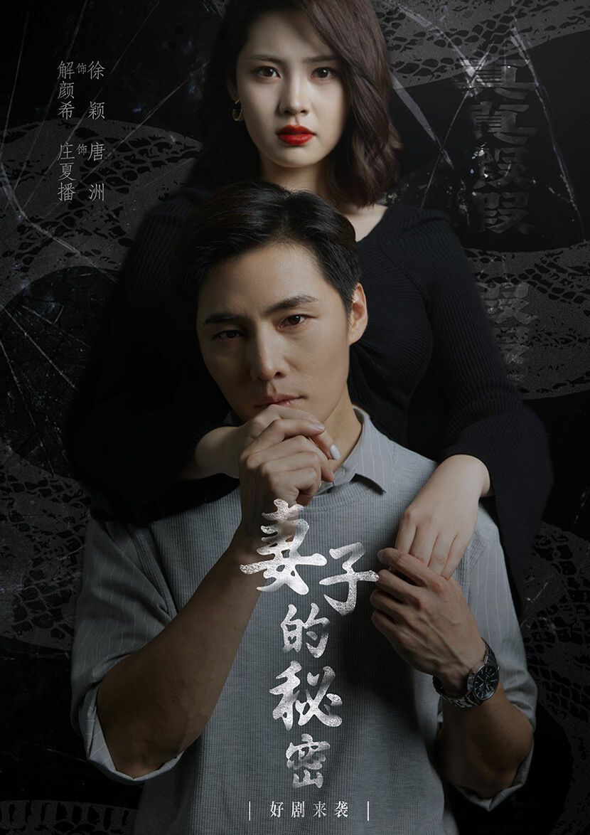 妻子不能说的秘密（妻子的秘密）海报