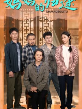 妈妈的归途(归来之金凤成龙)海报