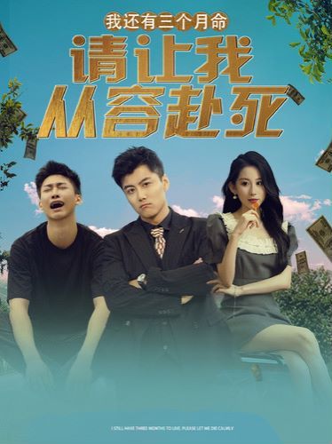 我还有三个月命,请让我从容赴死海报