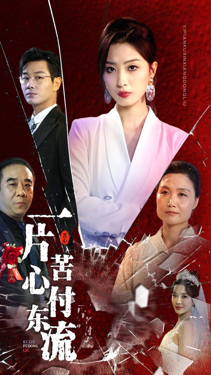 一片苦心付东流（女儿的荣耀）海报