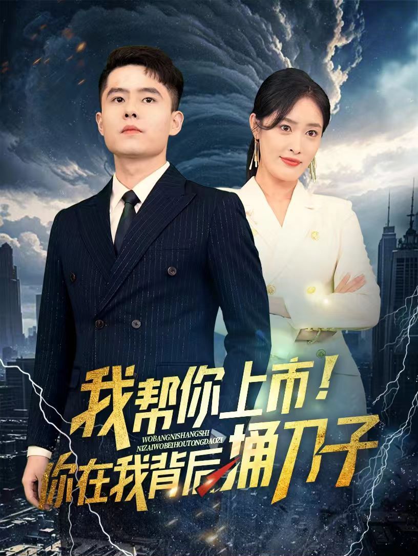 我帮你上市!你在我背后捅刀子海报