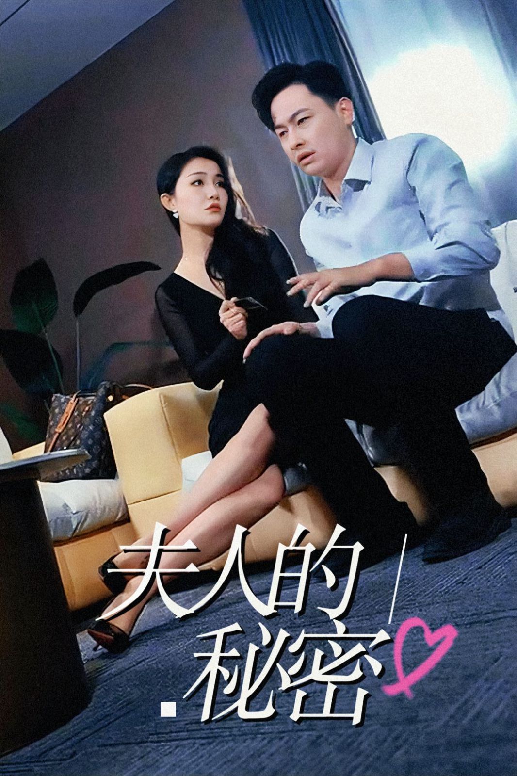 夫人的秘密海报