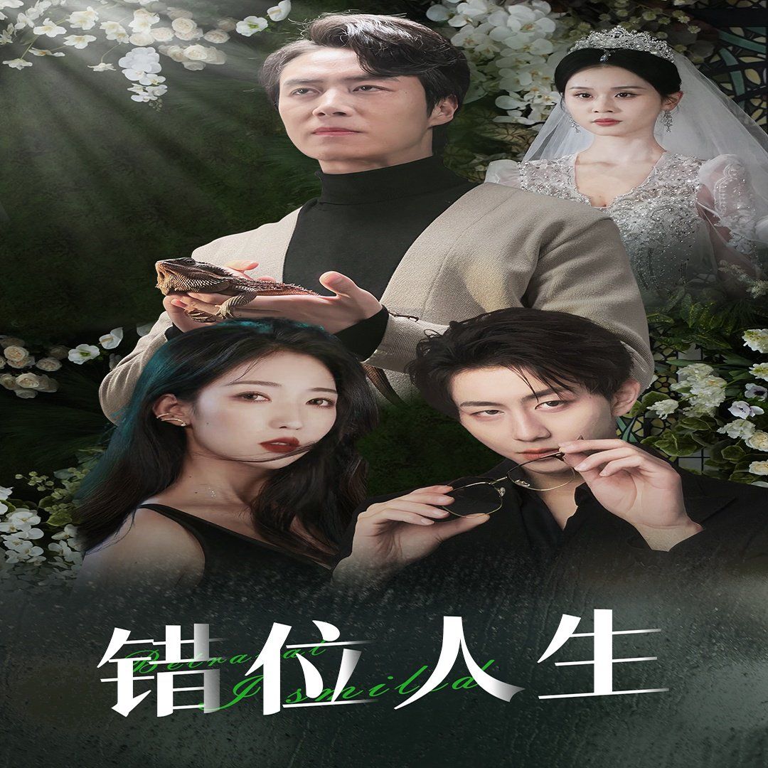 错位人生(养大他人的儿子后我笑了)海报