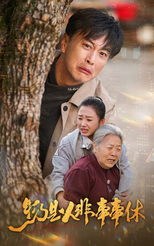 物是人非事事休海报