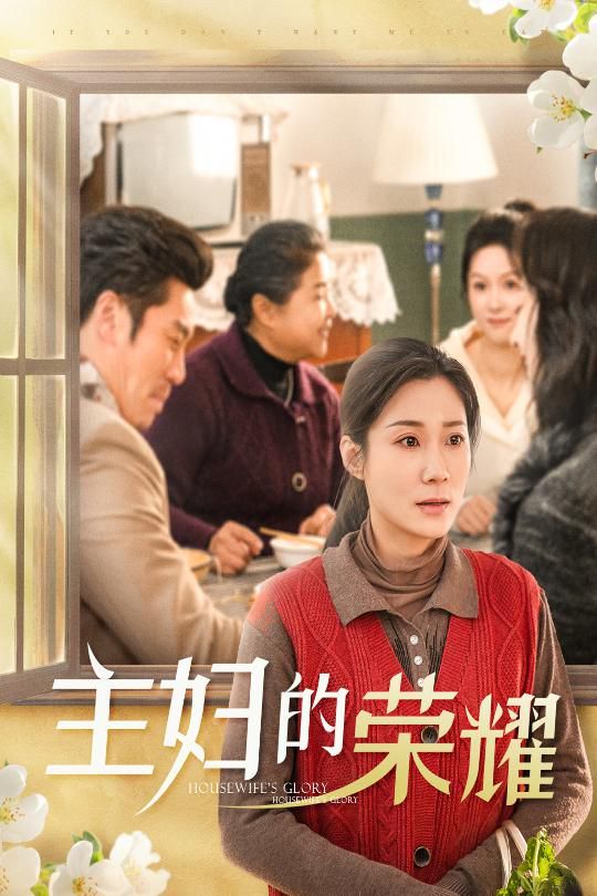 主妇的荣耀-万家灯火无我一盏海报