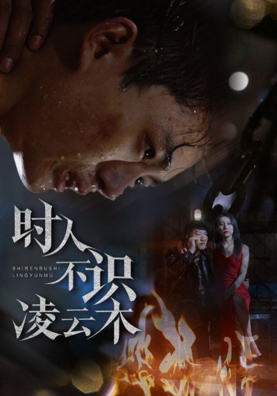 时人不识凌云木海报