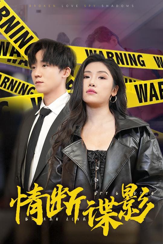 情断谍影（我的特工老婆）海报