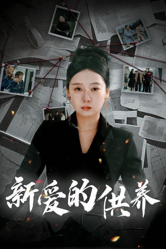 新爱的供养(以爱入局)(天上的星星不说话)海报