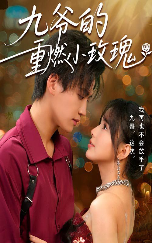 九爷的重燃小玫瑰海报
