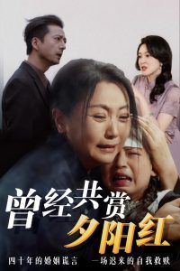 曾经共赏夕阳红海报