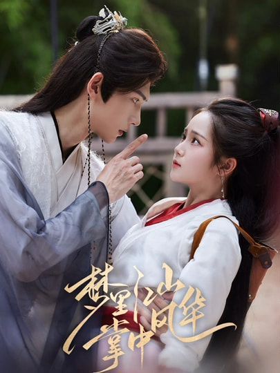 梦里江山掌中风华海报