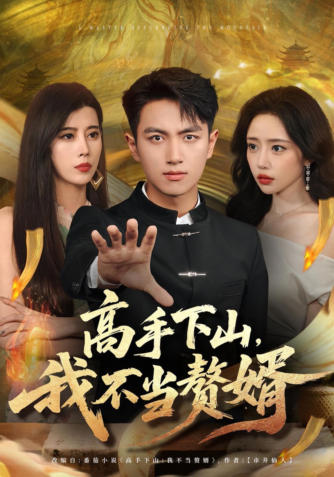 高手下山我不当赘婿海报