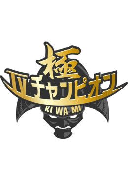 电视冠军之极海报