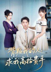 背叛我的人，求我高抬贵手海报