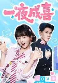 一夜成喜海报