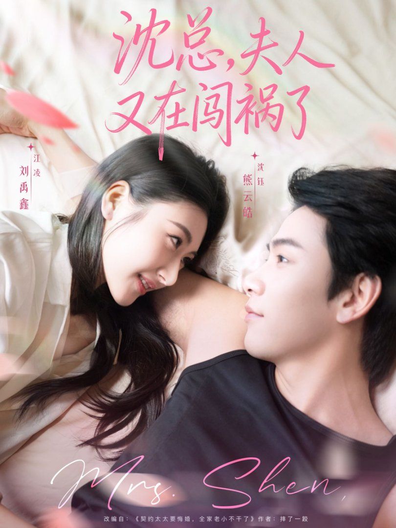 沈总，夫人又在闯祸了海报