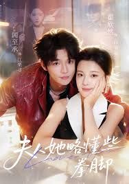 夫人她略懂些拳脚海报