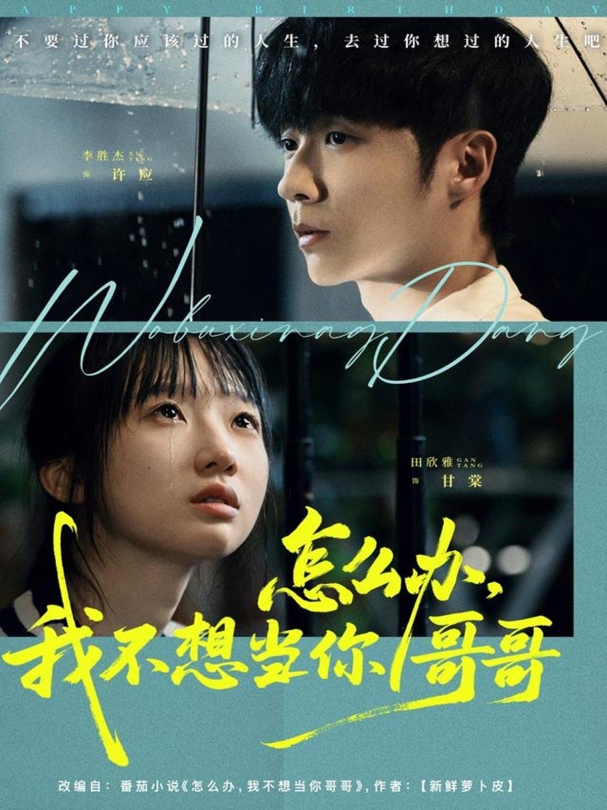 怎么办，我不想当你哥哥海报