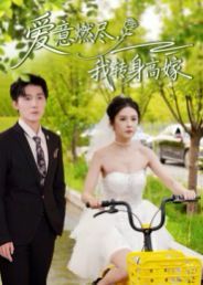 爱意燃尽，我转身高嫁海报