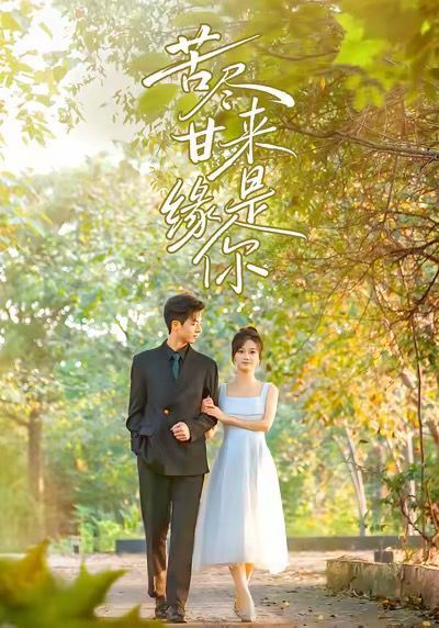 苦尽甘来缘是你海报