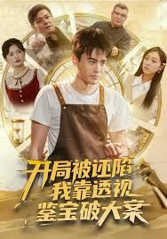 开局被诬陷，我靠透视鉴宝破大案海报