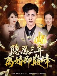 隐忍三年，离婚即巅峰海报