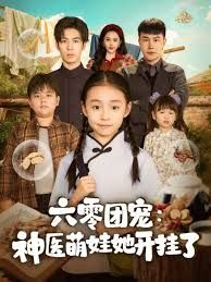 六零团宠:神医萌娃她开挂了海报