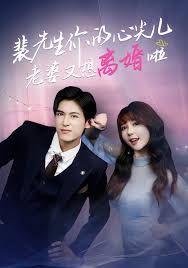 裴先生你的心尖儿老婆又想离婚啦,裴先生的复婚攻略海报