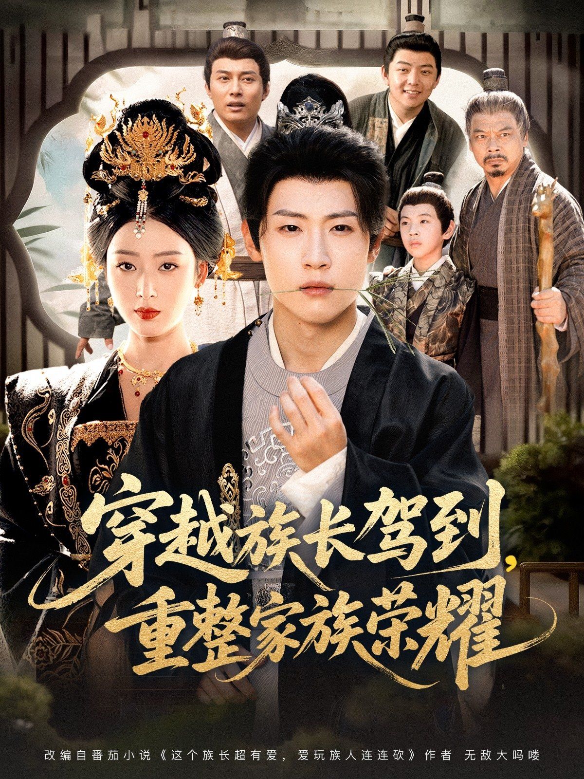 穿越族长驾到重整家族荣耀海报