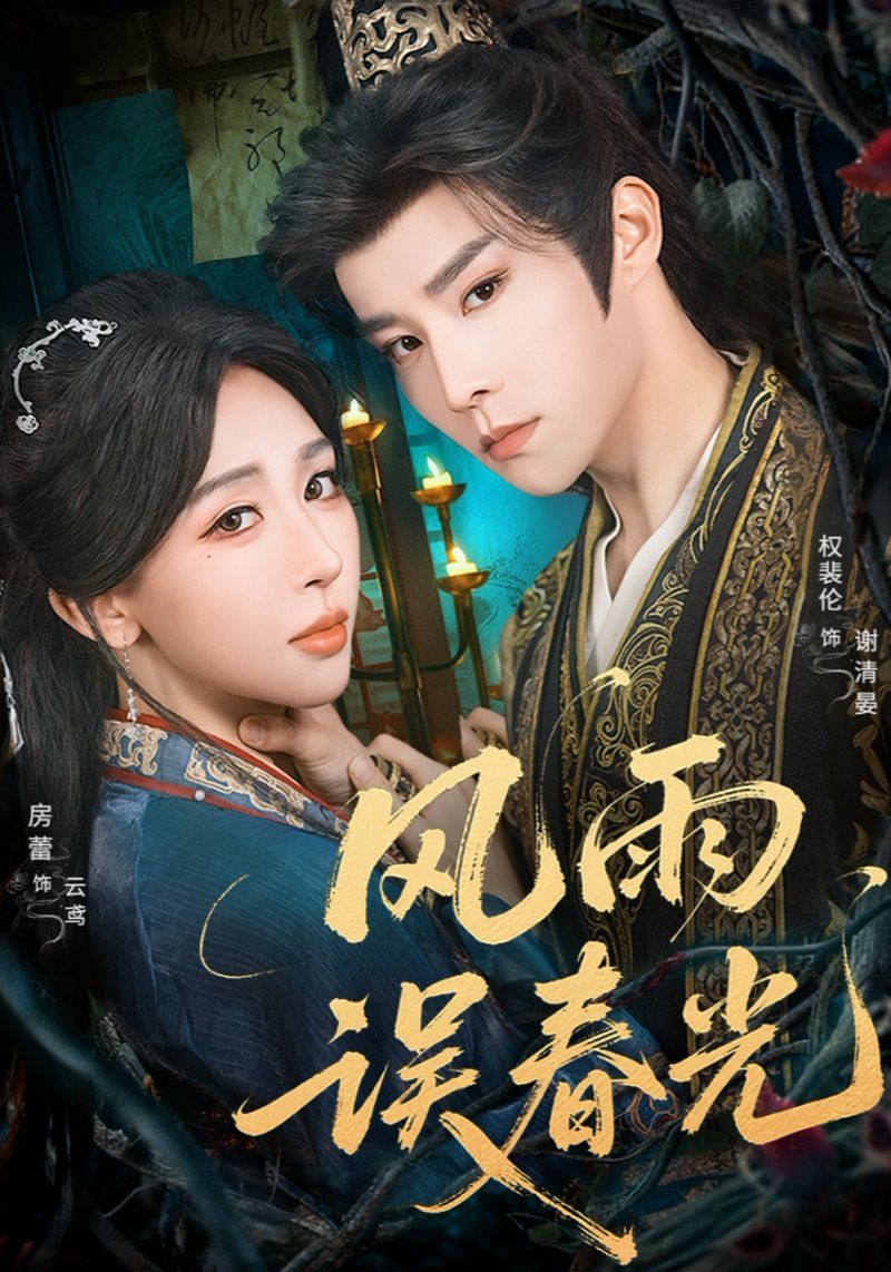 风雨误春光(七年寒鸢)海报