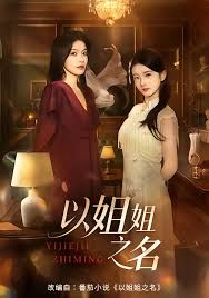 以姐姐之名海报