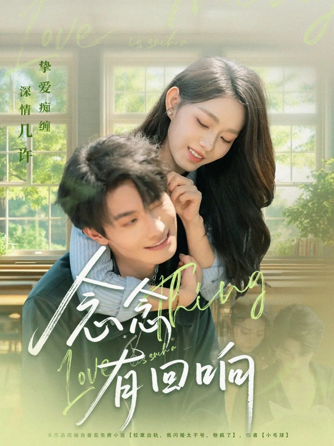 念念有回响海报