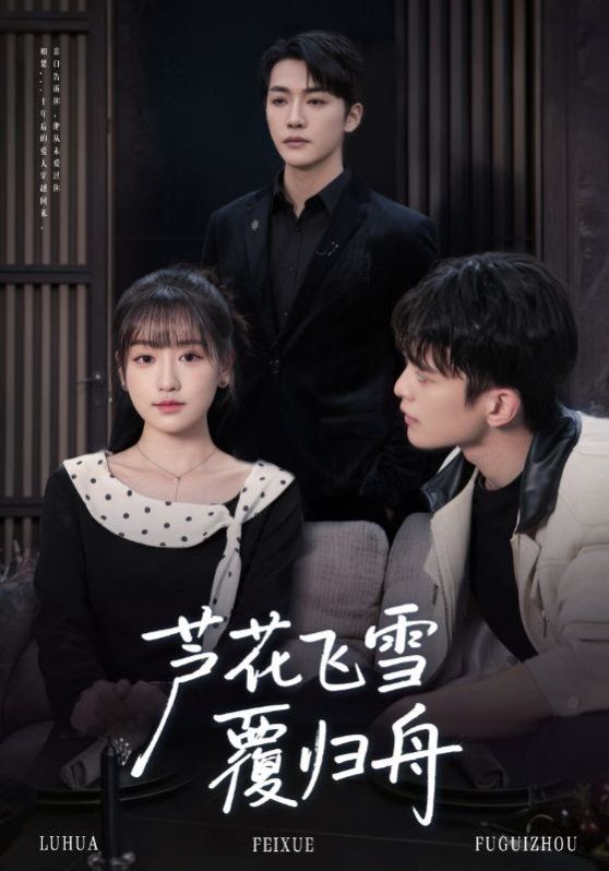 芦花飞雪覆归舟海报