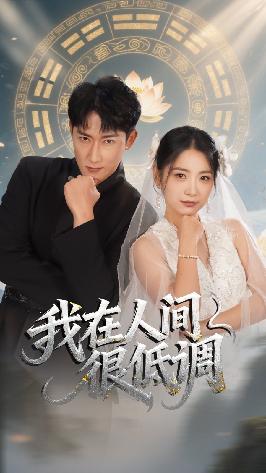 我在人间很低调海报