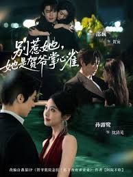 别惹她,她是贺爷掌心雀海报